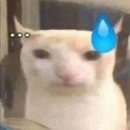 정 병