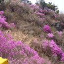 강서체육공원 이미지