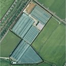 주식회사 약팜 이미지