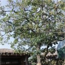 허브랜드 민박 이미지