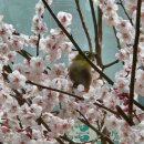 쑥쑥공인중개사사무소 이미지