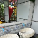 그린짐 | [다낭 호이안 쿠킹클래스] 그린코코넛 쿠킹클래스 솔직후기, 예약·가격·픽드롭·짐보관 꿀팁 포함