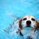 해피펜션 이미지