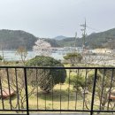 글램독통영 이미지