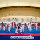 TEAM-K 태권도장 이미지