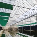 시동유정낚시터 이미지