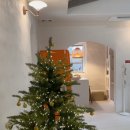 스테이서화 이미지