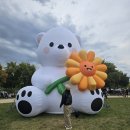 10월 : 나름 행복을 찾던 월초, 모두 무너져버린 월말