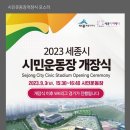 조치원시민운동장 네이버블로그