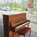 시흥배곧공인중개사학원 | 시흥 배곧 동 서울대 시흥캠퍼스 연주회 피아노 운반 후 조정 조율