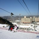 오크밸리 스노우파크 이미지