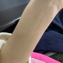 토란식당 | 어제가 오늘 같네