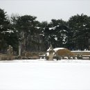 행운목장 이미지