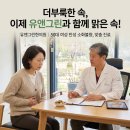 더함한의원 | 화장실 강박 벗어나는 대전 온천동에서 만성설사, 멈춘 장에 좋은 한약은?