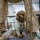 (주)아랑지 이미지