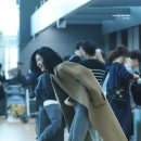 태리 이미지