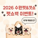 pet 25나3378 | 2026 수원펫&amp;캣쇼 펫쇼백 이벤트｜무료 펫쇼백 구성과 신청방법 정리