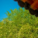 청계동펜션 이미지