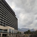 쇼당구장 | #Day1_(2) 스기노이 호텔 조식/석식, 온천, 기타 부대시설 후기(21개월 아기와 함께한)