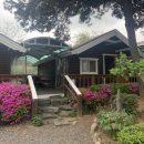 막골통나무펜션 이미지