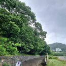 노이하우스 민박 이미지