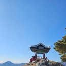 거제옥산숲 | 조선 최후의 성지 옥산금성 거제 둔덕면 가볼만한곳 이죠