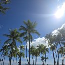 코나 | 하와이 코나커피 메뉴 아이스라떼 솔직후기