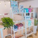 미미 펫 그루밍 이미지