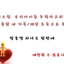 추락방지 안전방충망, 침입방지 방범방충망 전문업체 세이프존 1588-8156 이미지