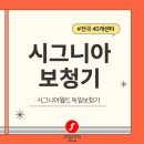 시그니아 보청기 | 시그니아 보청기 후기, 실제 체감은 어떻게 달라질까요