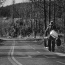 이마트트레이더스 이미지