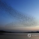 동림농장 이미지