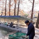 벌곡낚시터 이미지