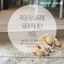 하피 - 강서구 마곡동로10길 46 | 하피