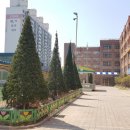 평택가내초등학교 이미지