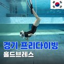 성남 아쿠아라인 프리다이빙 강습 홀드브레스 자격증 레벨1 취득 후기