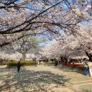 연지공원(김해시 내동 1068) 이미지