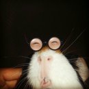 정온 | 강서구미용실 추천 손상 제로 매직받은 후기 (곱슬 전문 디자이너 정온정)