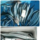 양포등대펜션 이미지