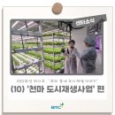 고지대 생활환경 개선 안녕한 천마마을 | [우리 동네 도시재생 이야기] (10) '천마 도시재생사업' 편