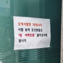 대흥동 리더스교육평가원 오픽 첫 시험 솔직 경험담, 오픽 질문 포함. 준비와 실제 시험 차이..ㄷㄷ