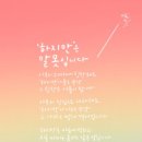 손끝꽃 - 광명시 | 손끝꽃