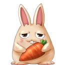 가니타니 | 벨라티아 FGT 참여해봤습니다.