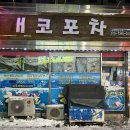개코포차 네이버블로그