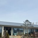 동갈매기 | 기장 동부산 맛집 해동 용궁사 근처 맛집 연화갈매기