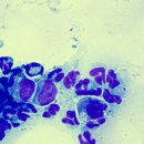 목련동물병원 이미지