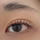 한올강북점 이미지