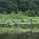 화천닭집 - 28687 | 화천닭집