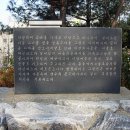 최용신기념관 Daum카페