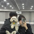 11545-02-37-24 | 부천 애견카페 24시 무인 소형견 대형견 달리지용